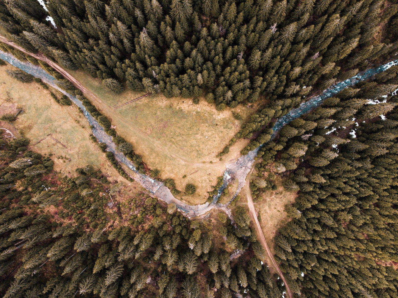 drone view of a land property with trees