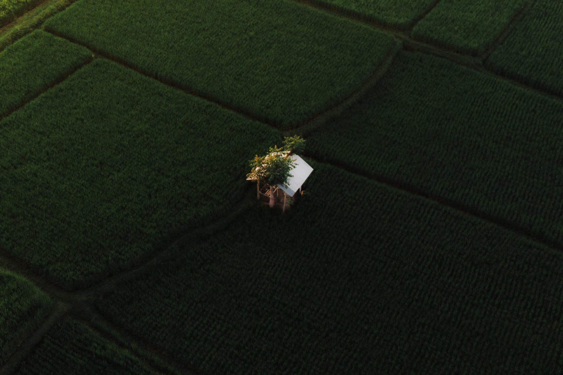 land property